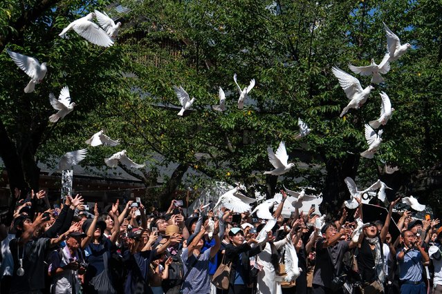 White doves are released as a tribute to the war dead at the Yasukuni Shrine on August 15, 2025 in Tokyo, Japan. Japan marked the 80th anniversary of its surrender in World War II today. (Photo by Tomohiro Ohsumi/Getty Images)