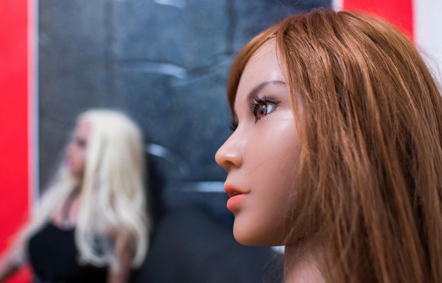 Silicon s*x dolls for sexual encounters sitting at the “Bordoll” brothel on April 17, 2019 in Dortmund, Germany. (Photo by Lukas Schulze/Bongarts/Getty Images)