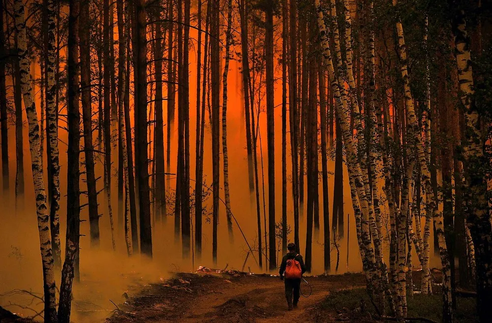 The Terrible Aesthetics of the Wildfires