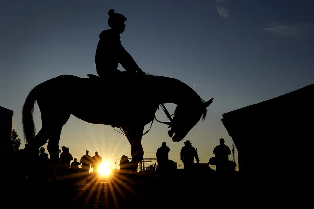 A horse comes off the track after a workout as the sun rises at Churchill Downs Wednesday, May 3, 2023, in Louisville, Ky. The 149th running of the Kentucky Derby is scheduled for Saturday, May 6. (Photo by Charlie Riedel/AP Photo)