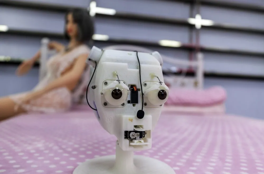 AI Sex Robot in China