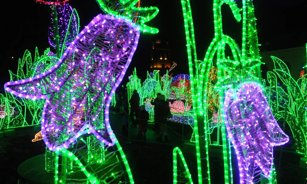 The Day in Photos – December 1, 2015