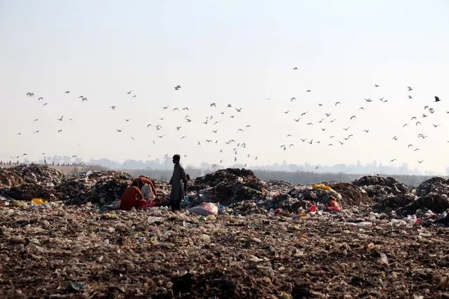 Pakistani boys collect recyclable waste from garbage dumps on a roadside in Larkana, Pakistan, 29 January 2021. (Photo by Wqar Hussein/EPA/EFE)