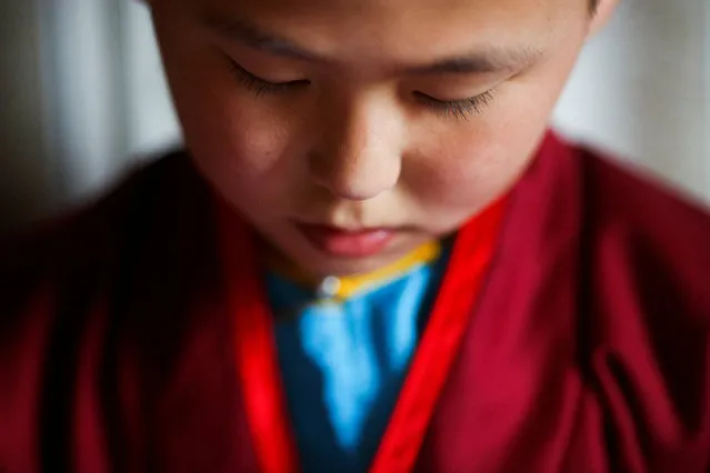Young Buddhist monk Temuulen studies religious texts shortly after waking up in his room at the Amarbayasgalant Monastery in the Baruunburen district, Selenge province, Mongolia, April 26, 2018. (Photo by Thomas Peter/Reuters)