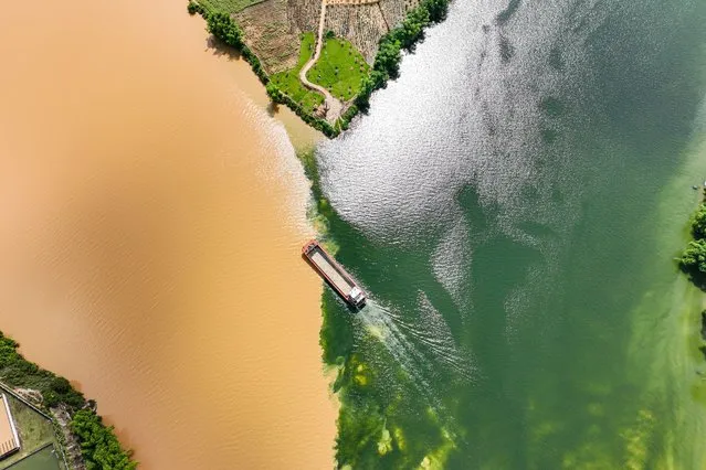 Aerial view of a clear and turbid landscape at the intersection of the Sanjiang Estuary during the flood season on July 4, 2023 in Nanning, Guangxi Zhuang Autonomous Region of China. (Photo by Chen Guanyan/China News Service/VCG via Getty Images)