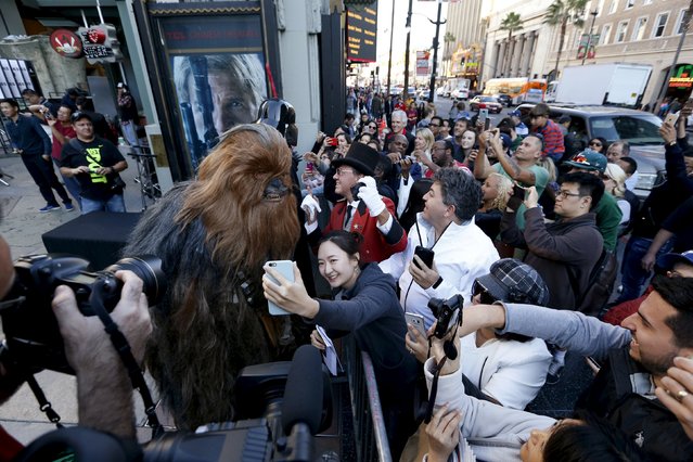 A person dressed as Chewbacca interacts with fans after a Star Wars themed wedding in the forecourt of the TCL Chinese Theatre in Hollywood, California December 17, 2015. (Photo by Mario Anzuoni/Reuters)