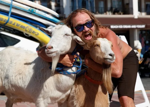 Dana McGregor poses for a picture as he arrives at the beach with his surfing goat Pismo (L) and Grover in San Clemente, California, U.S., March 19, 2021. “I got one goat to clear my poison oak in the backyard and I decided to take it surfing on my birthday and then I just ended up surfing goats”, recalled McGregor of the day his goat-surfing journey began almost 10 years ago. (Photo by Mike Blake/Reuters)