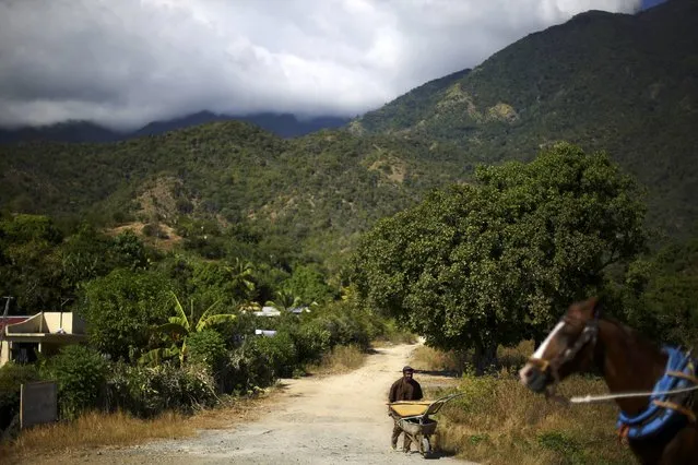 A man pushes a wheelbarrow down a dirt road along Cuba's southern coast and in the foothills of the Sierra Maestra mountains, where President Fidel Castro launched his armed revolution in 1956, as the area prepares for tomorrow's arrival of the caravan carrying Castro's ashes, on the outskirts of Santiago de Cuba, Cuba, December 2, 2016. (Photo by Ivan Alvarado/Reuters)