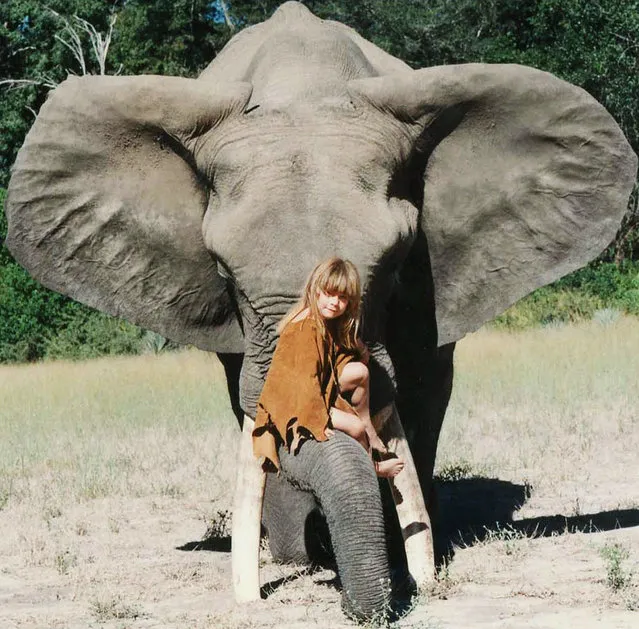 Tippi, aged 6 dancing with Abu the 34-year-old elephant in Okavango Swamps, Botswana, 1996. (Photo by Sylvie Robert/Barcroft Media)
