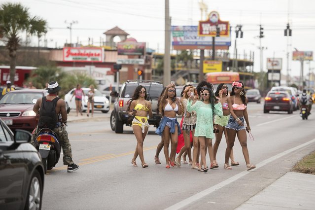 Pedestrians take photos while crossing Front Beach Road during spring break festivities in Panama City Beach, Florida March 13, 2015. Like previous Florida spring break hot spots Fort Lauderdale and Daytona Beach, Panama City Beach is facing a crisis of conscience over the trade-offs involved in hosting a binge for some 300,000 students who arrive through mid-April with coolers, beer funnels and credit cards. (Photo by Michael Spooneybarger/Reuters)