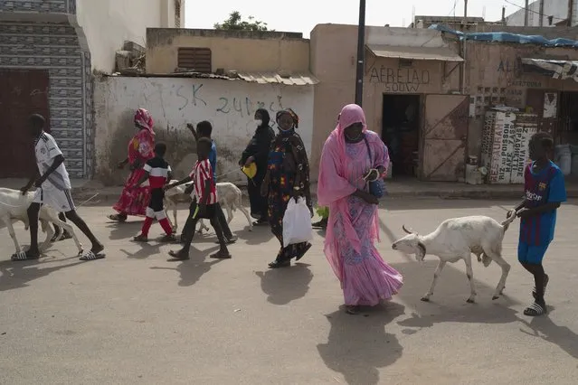 Adama Ndiaye, pulls a sheep gifted by the Secours Islamique France, in Bargny, Senegal, Wednesday, July 14, 2021. Ndiaye got up before dawn to travel about 25 miles, hoping that she would be able to get a sheep for Tabaski celebrations. As millions in Senegal prepare for Tabaski, health officials warn that COVID-19 cases are surging in the West African nation. (Photo by Leo Correa/AP Photo)