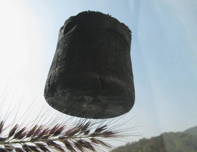 Carbon Aerogel The New Lightest Material