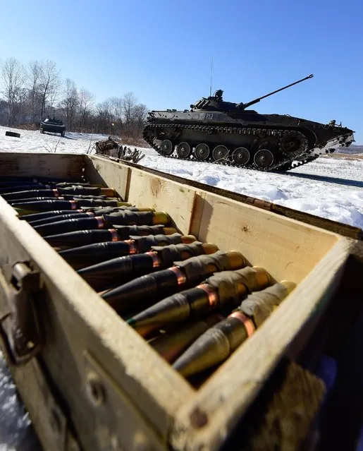 Ammunition for a 30 mm 2A42 automatic cannon installed on a BMP-2 turret during military exercises conducted by the Russian Pacific Fleet' s naval infantry unit at the Bamburovo firing range on February 2, 2017. (Photo by Yuri Smityuk/TASS)