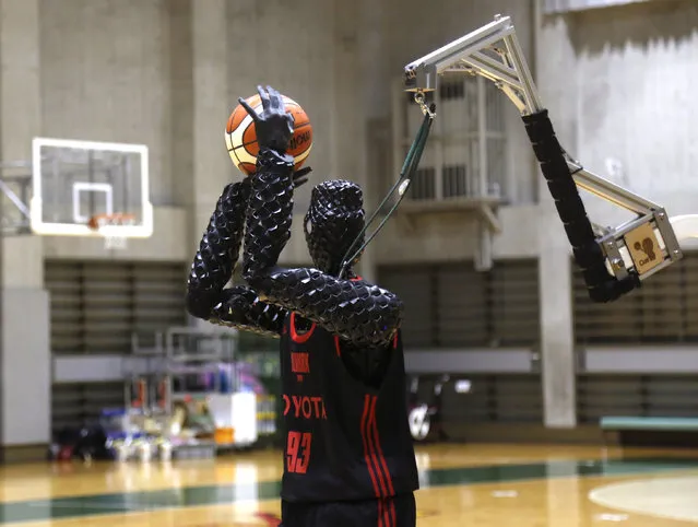 Toyota’s basketball robot Cue 3 demonstrates Monday, April 1, 2019 at a gymnasium in Fuchu, Tokyo. The 207-centimeter (six-foot-10) -tall machine made five of eight three-pointer shots in a demonstration in a Tokyo suburb Monday, a ratio its engineers say is worse than usual. Toyota Motor Corp.’s robot, called Cue 3, computes as a three-dimensional image where the basket is, using sensors on its torso, and adjusts motors inside its arm and knees to give the shot the right angle and propulsion for a swish. (Photo by Yuri Kageyama/AP Photo)