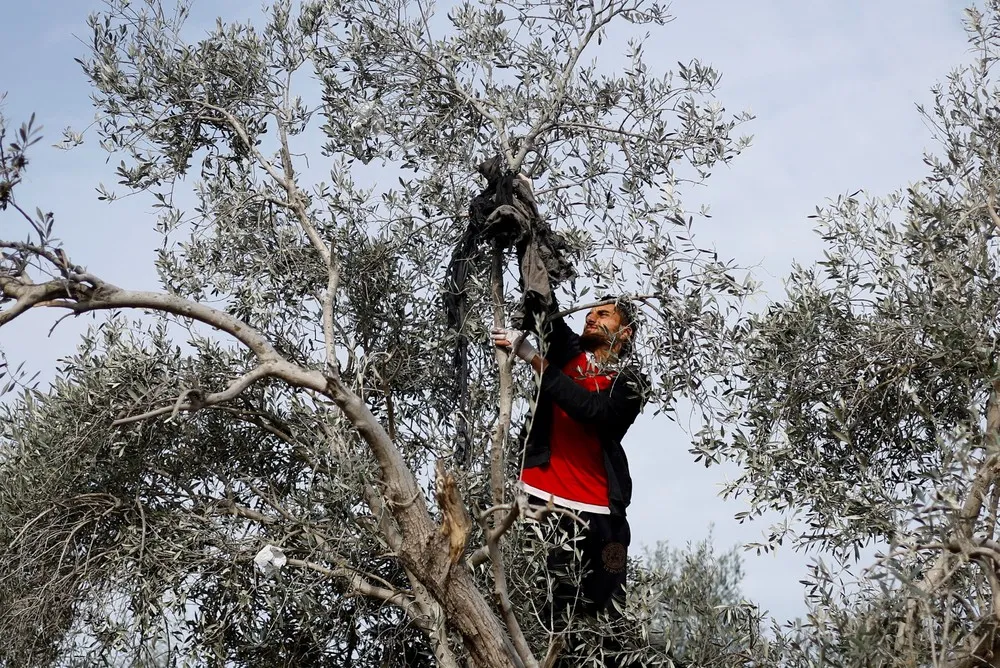 Palestinians Daily Life