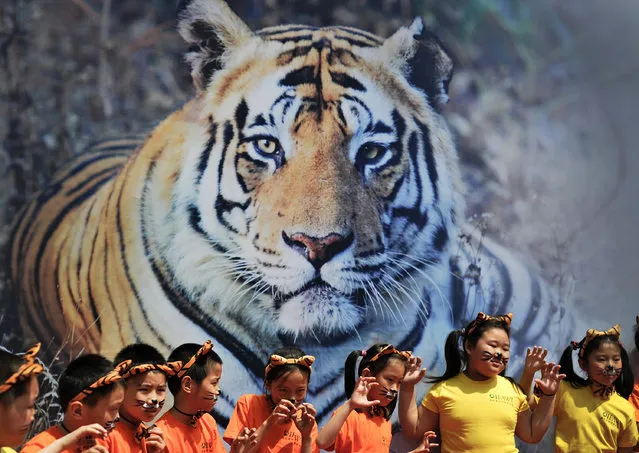 In this May 29, 2010, file photo, school children with tiger's ears headband gesture in front of a tiger poster during an event to encourage people to protect the endangered wild tiger species around Asia countries held at the National Animal Museum in Beijing, China. The world's count of wild tigers roaming forests from Russia to Vietnam has gone up for the first time in more than a century, in the latest global census, conservation groups said Monday, April 11, 2016. (Photo by Andy Wong/AP Photo)