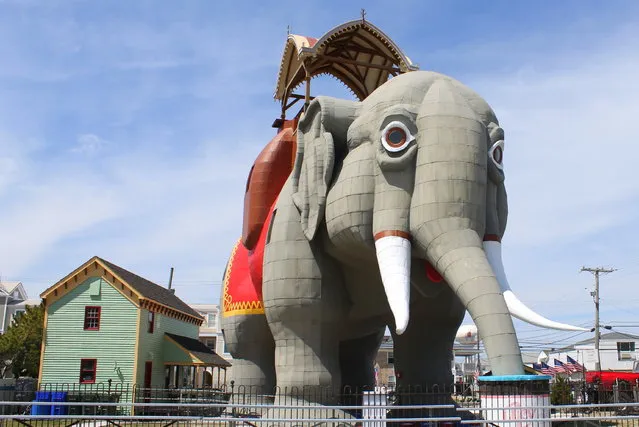 Lucy the Elephant In Margate City