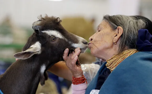 A woman kisses a goat during the first day of the 22nd International Fair of Agro-livestock and Related Industries Agroexpo 2019, in Bogota, Colombia, 11 July 2019. The Corferias fairgrounds in the Colombian capital opened its doors this Thursday for a new edition of Agroexpo, a fair that focuses its activities on the agricultural and livestock world, with around 20 invited countries, exhibitions and forums. The event is held until July 21. (Photo by Mauricio Duenas Castaneda/EPA/EFE)