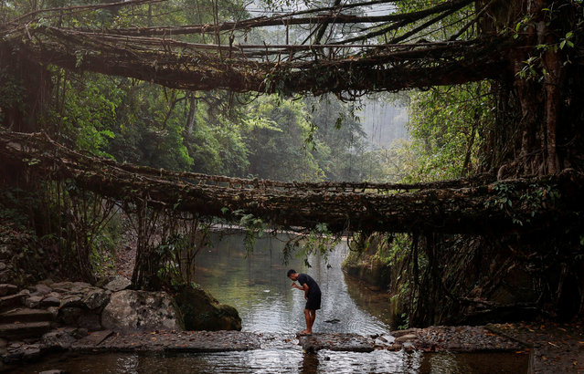 A security personnel, deployed on election duty, brushes his teeth under a double-decker root bridge after reaching Nongriat village, a remote polling station, ahead of the first phase of the election, in Shillong in the northeastern state of Meghalaya, India, on April 18, 2024. (Photo by Adnan Abidi/Reuters)