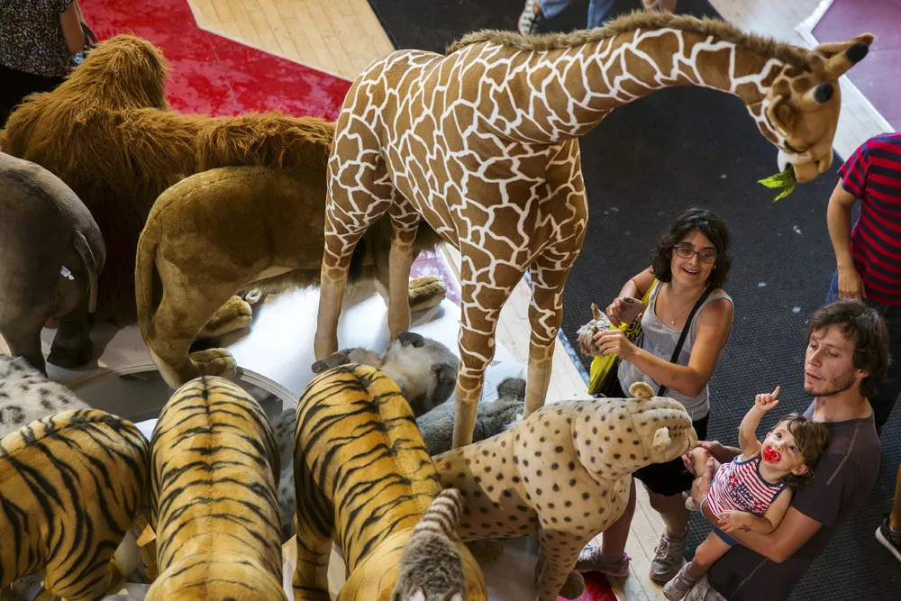 FAO Schwarz Closes