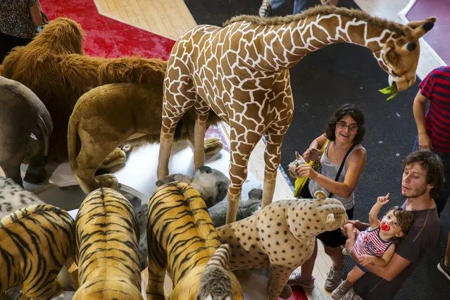 A child reacts to large stuffed animals July 15, 2015. (Photo by Lucas Jackson/Reuters)