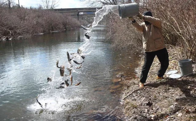 Ron Schlosser, of Drums Pa., stocks a bucket full of brown, brook, rainbow and golden trout into Nescopeck Creek in Dennison Township Pa., during the annual spring stocking on Tuesday, March 29, 2022. Trout season 2022 opens statewide on Saturday, April 2, 2022, in Pennsylvania. (Photo by John Haeger Standard Speaker via AP Photo)