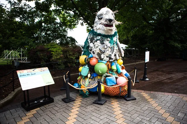 Lidia the seal is made up of trash found in the ocean. Often artist Angela Haseltine Pozzi tries to incorporate the type of waste that threatens each particular marine life into her work. (Photo by Keith Lane/The Washington Post)