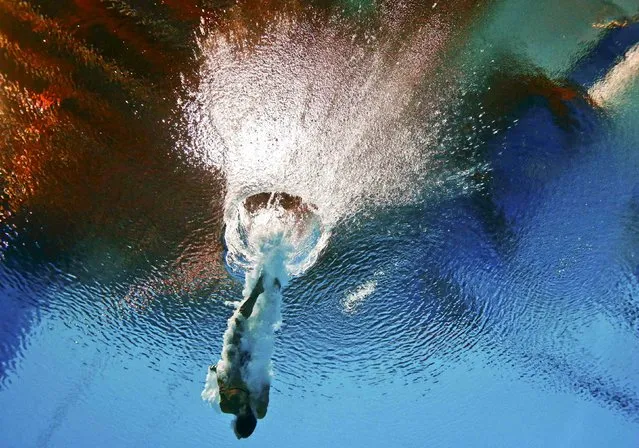 Tania Cagnotto of Italy is seen underwater during the women's 3m springboard semi final at the Aquatics World Championships in Kazan, Russia July 31, 2015. (Photo by Stefan Wermuth/Reuters)