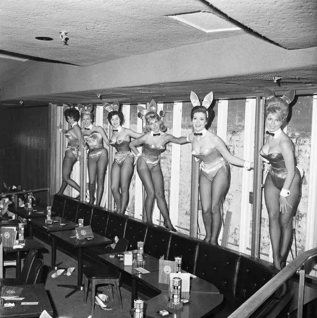 Decorating the still furnished wall of the new Playboy Club in New York City are the shapely hostesses. The girls dressed in “Bunnie” costumes, (left to right), Elaine Gallo, Lynn Smith, Bette West, Laura Addams, Virginia Hebel and Morta Andersen had been trained to serve as waitress' in the key club which had recently opened, ca 1970s. (Photo by Bettmann/Getty Images)