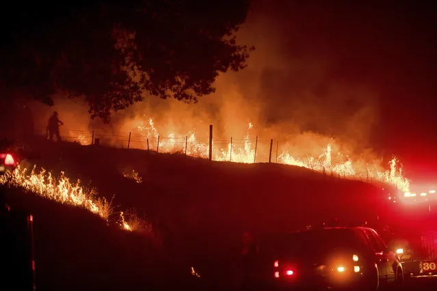 Flames from a backfire burn as CalFire crews battle the Ditwiler Fire near Mariposa, Calif., on Tuesday, July 18, 2017.  Record rain and snowfall in the mountains this winter was celebrated for bringing California's five-year drought to its knees, but it has turned into a challenge for firefighters battling flames feeding on dense vegetation, officials said.  (AP Photo/Noah Berger)