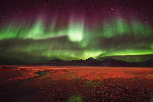 “Aurora over Svea”, Agurtxane Concellon (Spain). The purples and greens of the Northern Lights radiate over the coal mining city of Svea, in the archipelago of Svalbard. The earthy landscape below the glittering sky is illuminated by the strong lights of industry at the pier of Svea. (Photo by Agurtxane Concellon/National Maritime Museum/The Guardian)