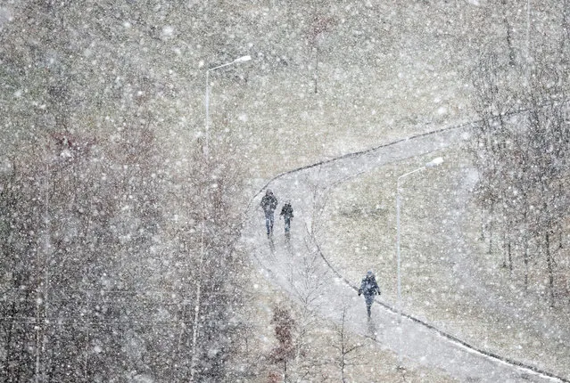 People walk during heavy snowfall in Minsk, Belarus on February 12, 2020. (Photo by Vasily Fedosenko/Reuters)