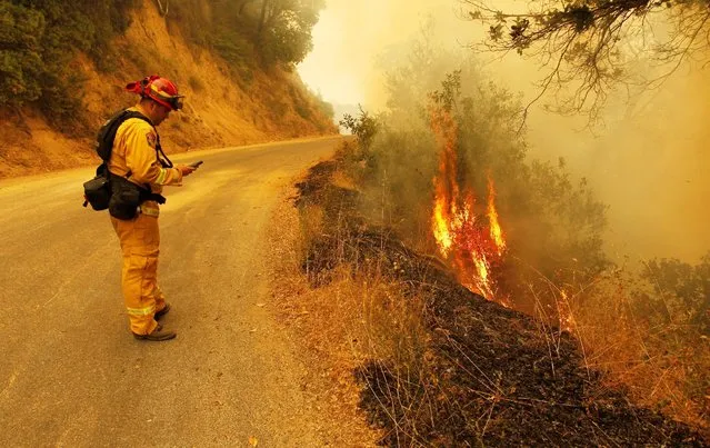 Cal Fire Captain Dan Bonfante uses his GPS device while monitoring a burning slope during the Soberanes Fire in the evacuated Palo Colorado area north of Big Sur, California, U.S. July 25, 2016. (Photo by Michael Fiala/Reuters)