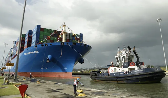 In this December 3, 2018, photo, a Panama Canal worker docks the Chinese container ship Cosco at the Panama Canals' Cocoli Locks, in Panama City. China’s expansion in Latin America of its Belt and Road initiative to build ports and other trade-related facilities is stirring anxiety in Washington. As American officials express alarm at Beijing’s ambitions in a U.S.-dominated region, China has launched a charm offensive, wooing Panamanian politicians, professionals, and journalists. (Photo by Arnulfo Franco/AP Photo)