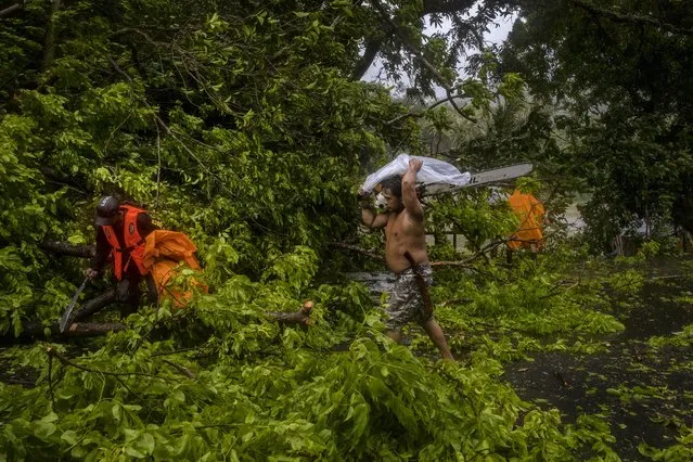 Residents clear a fallen tree from a road as Typhoon Vongfong hits on May 15, 2020 in Atimonan town, Quezon province, Philippines. Thousands of residents fled to evacuation centers on Friday as Typhoon Vongfong slammed the Philippines' main island of Luzon, dumping torrential rains and raising fears that the coronavirus could spread in packed evacuation centers. (Photo by Ezra Acayan/Getty Images)