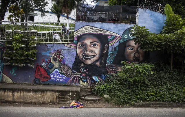 Graffitis, showing two females and a rooster, are seen in Medellin, Colombia on November 19, 2017. Mural graffitis from different artists, street art can be seen in almost every city on Earth, but street arts raw power and potential for change was felt by me most intensively in Medellins Comuna 13, previously one of Colombias most dangerous neighbourhoods, in fact Communa 13 was constant battleground between gangs, narcos, paramilitaries and the government, but today you would hardly recognise it. Formerly one of Medellins most feared barrios, Comuna 13s metamorphosis now represents Medellin in microcosm: not a perfect model for urban planning by any means, but a radical laboratory where untested experiments are carried out which seek to improve the urban and social fabric. Street art is a pivotal part of this change, and it diffuses through every house, roof, door and blank canvas in this colourful neighbourhood. Street arts themes are as diverse as the people that create them from being deeply political and serious to being fun, satirical and irreverent, but upon closer inspection of these flaking canvases you can see, they are imbued with hope, the chance for change and ability to dream again. For most of the residents, it was impossible to dream, living a life of suffering, terror and unimaginable difficulties. Stuck in a cycle of poverty and gang warefare from which there was no way out. Today, however, thanks to the return of the rule of law and many new projects and initiatives in Comuna 13, the people here can again imagine a better life, a safer life. Street art is just one part of this, along with giant public education programs, security, activities for youth, libraries, increased transportation and economic opportunities. Optimism fills the air these days in Comuna 13, things are still far from perfect but as residents will tell you Every day, in every way, things are getting better and better. (Photo by Juancho Torres/Anadolu Agency/Getty Images)