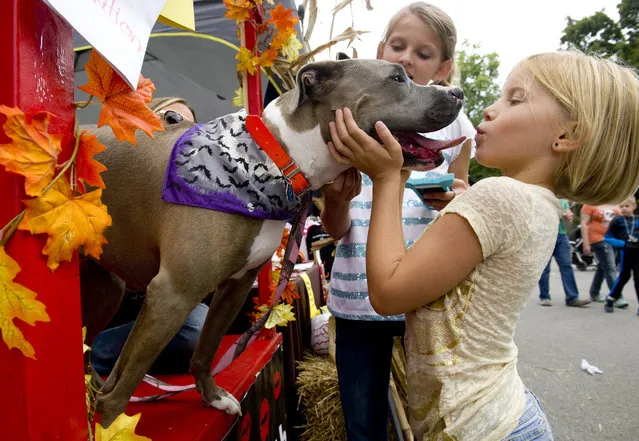Adelyn Gamblin, of Evansville, Ind., is greeted by from Dottie in the Posey County Pound Puppies “kissing booth” Sunday, September 20, 2015, during Kunstfest in New Harmony, Ind. (Photo by Denny Simmons/Evansville Courier & Press via AP Photo)
