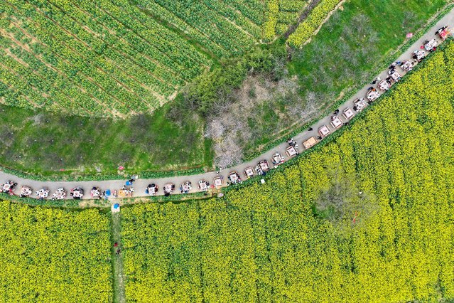 Tourists eat hot pot among blooming rapeseed flowers in Nanjing, China, on March 23, 2025. (Photo by Costfoto/NurPhoto/Rex Features/Shutterstock)