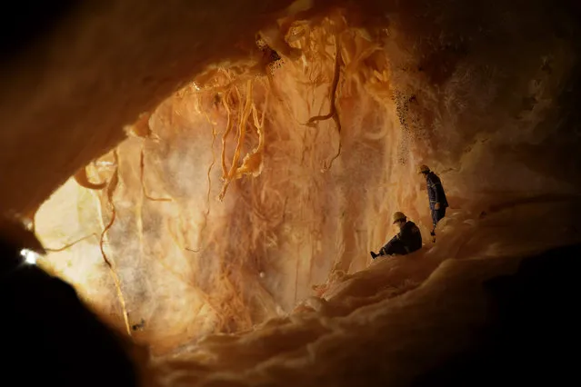 “The Krubera Pumpkin Cave”. Standing on the entrance to the famous Kurbera Pumpkin Cave. The deadliest pumpkin cave known to man. I took my last shot before entering. The legendary cave have claimed countless explorers, I heard it even includes several from National Geographic. No one has ever gotten out a live. Ok, ok... it's just two little figurines inside a mouldy pumpkin, but hey, I live in Hong Kong, I don't have many caves to explore. Photo location:Dinning table . (Photo and caption by Brian Yen/National Geographic Photo Contest)