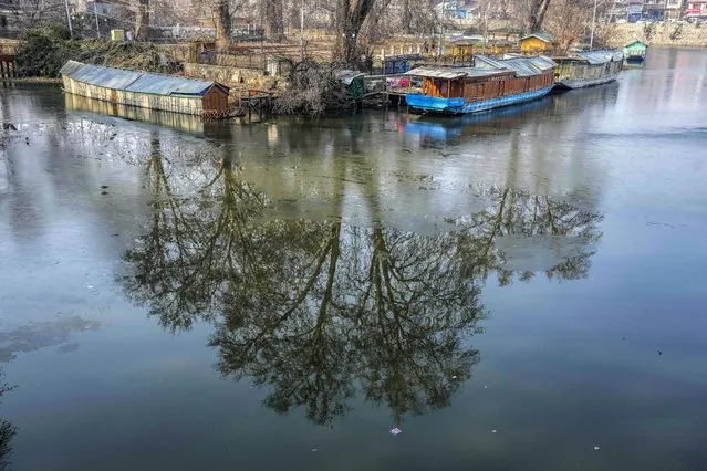 Chinar trees are reflected on the frozen Dal Lake on a cold morning in Srinagar, Indian controlled Kashmir, Wednesday, January 4 , 2022. (Photo by Mukhtar Khan/AP Photo)
