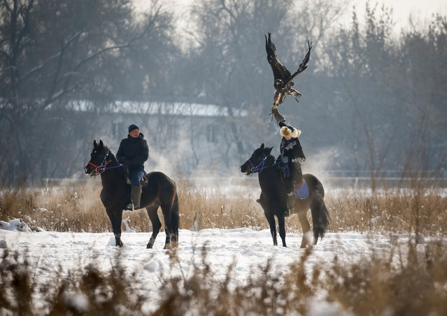 A hunter tries to control his tamed golden eagles during the annual hunters competition at Almaty hippodrome, Kazakhstan on February 8, 2018. (Photo by Shamil Zhumatov/Reuters)