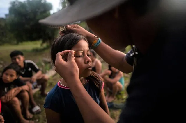 A Siekopai indigenous girl has her makeup done during the second binational meeting of the Siekopai Nation community in the Amazon region in Lagartococha, Peru, on January 9, 2023. They call themselves “the multicolored people” or Siekopai after the eye-catching traditional body paint and adornments they used to wear in their ancestral home in the heart of the Amazon rainforest. Now, the Amazonian Siekopai people, displaced by decades of war and commercial and cultural intrusions, live scattered between villages straddling the Ecuador-Peru border. Teetering on the brink of cultural extinction, Siekopai leaders say it is a matter of survival to reclaim their ancestral land – still largely untouched in the remote heart of the Amazon. (Photo by Pedro Pardo/AFP Photo)