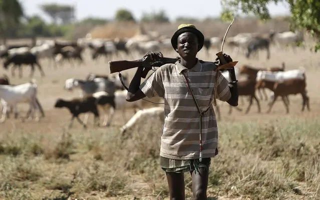 A Turkana man carries a rifle as he herds goats inside the Turkana region of the Ilemi Triangle, northwest Kenya December 21, 2014. (Photo by Goran Tomasevic/Reuters)