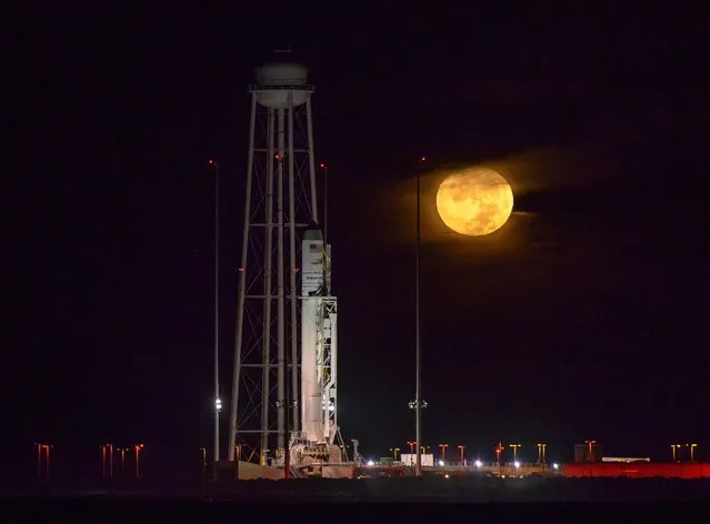 The Orbital ATK Antares rocket, with the Cygnus spacecraft onboard, sits on launch Pad-0A as the moon sets,  Saturday, October 15, 2016 at NASA's Wallops Flight Facility in Virginia. Two years after a launch explosion, the space company Orbital ATK is returning to Virginia's spaceport to send a load of supplies to the International Space Station. (Photo by Bill Ingalls/NASA via AP Photo)