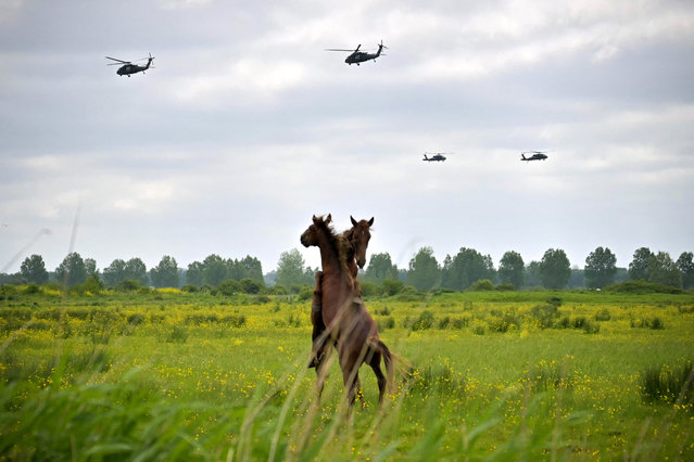 MH-60 Blackhawk helicopters fly over Carentan-les-Marais, northwestern France, on June 2, 2024, as part of the D-Day commemorations to mark 80th anniversary of D-Day and the Battle of Normandy. (Photo by Lou Benoist/AFP Photo)