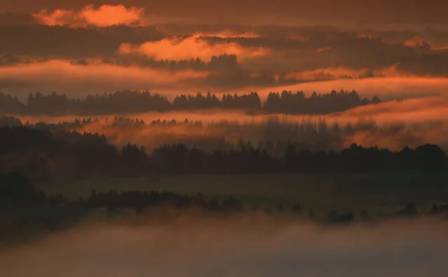 Morning fog is dipped in red during sunrise in the Prealpine Land near Bernbeuren, Germany, 30 August 2016. (Photo by Karl-Josef Hildenbrand/AFP Photo/DPA)