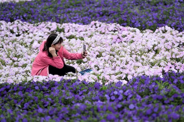 A woman takes a selfie at the garden full of flowers on the last day of a four-day holiday in Taipei, Taiwan, Tuesday, February 28, 2023. (Photo by Chiang Ying-ying/AP Photo)