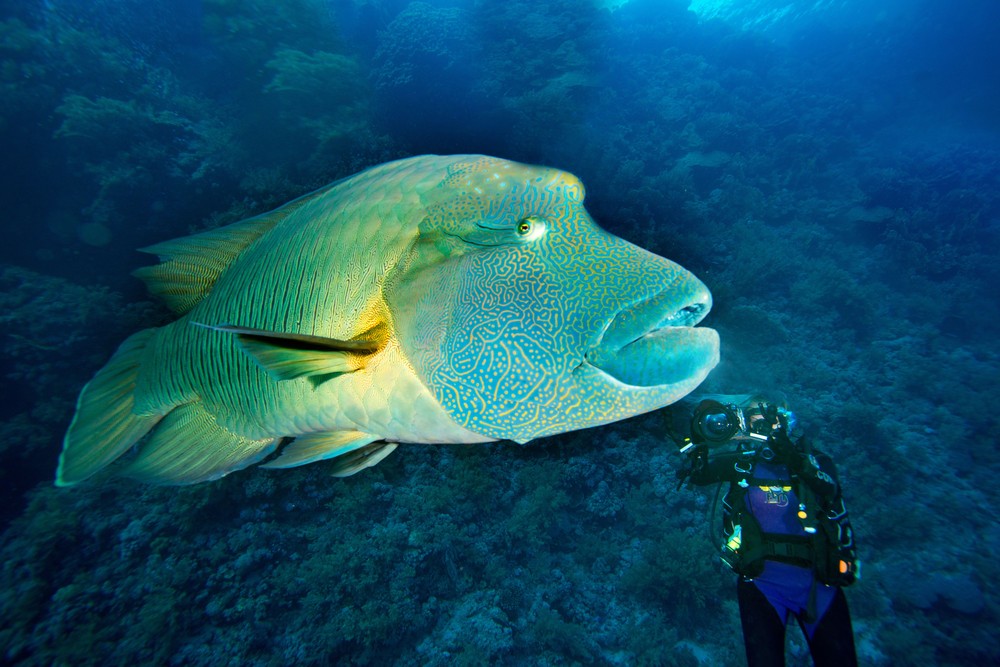 Some Photos: Waterworld