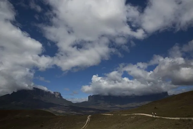 Pemon indigenous porters walk on the road to Mount Roraima, near Venezuela's border with Brazil January 13, 2015. (Photo by Carlos Garcia Rawlins/Reuters)