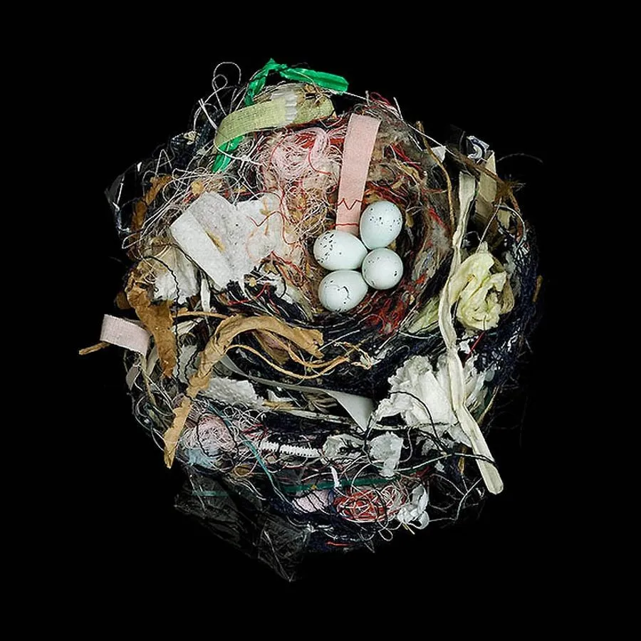 Bird Nest By Sharon Beals